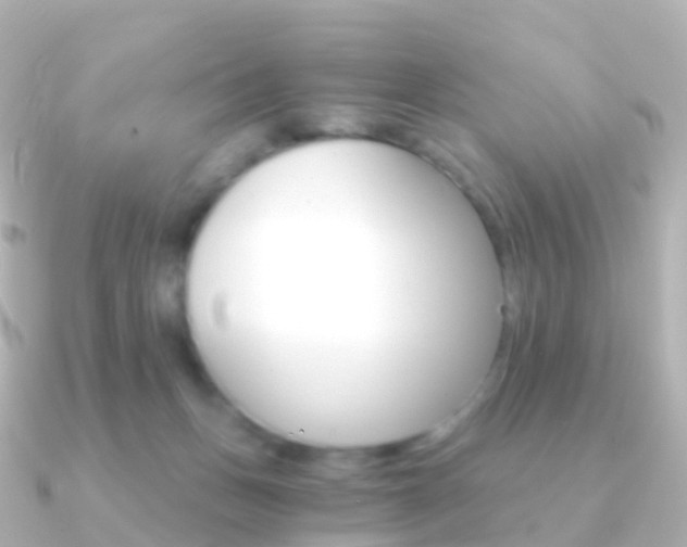 X0000091340175200708101026