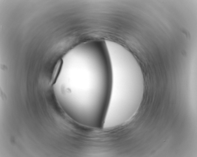 X0000091340176200708101026