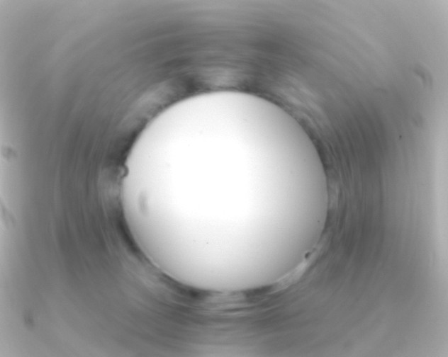 X0000091340179200708101026