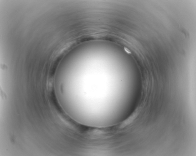 X0000091340180200708101026