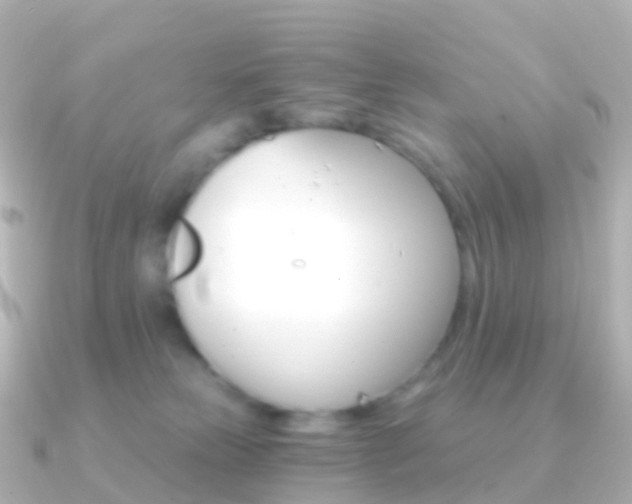 X0000091340181200708101026