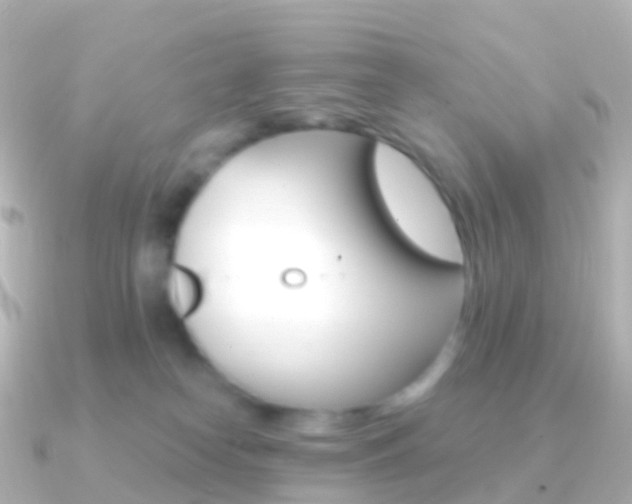 X0000091340182200708101026