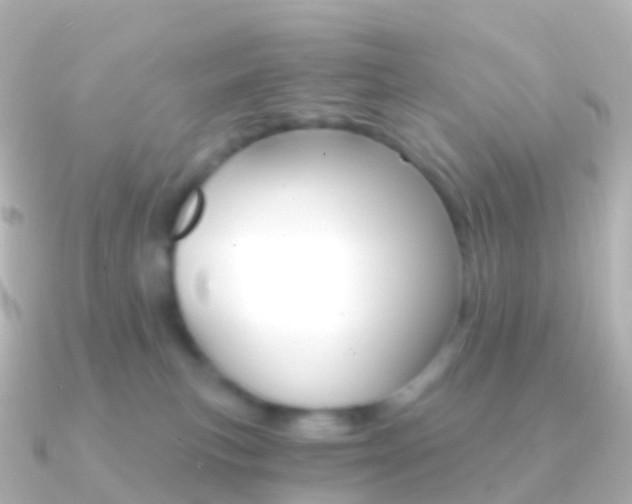 X0000091340183200708101026