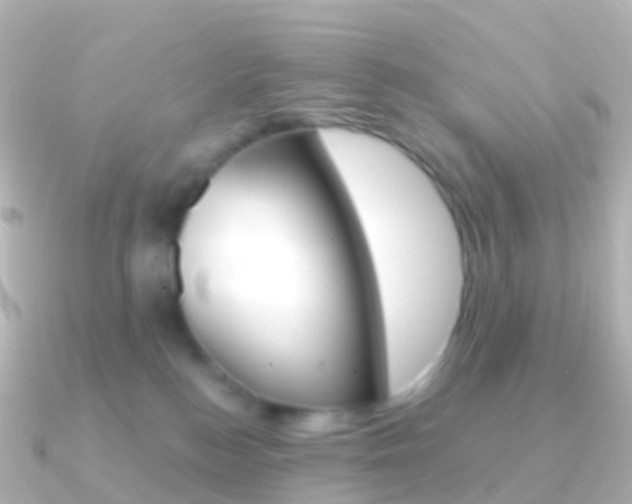 X0000091340184200708101026