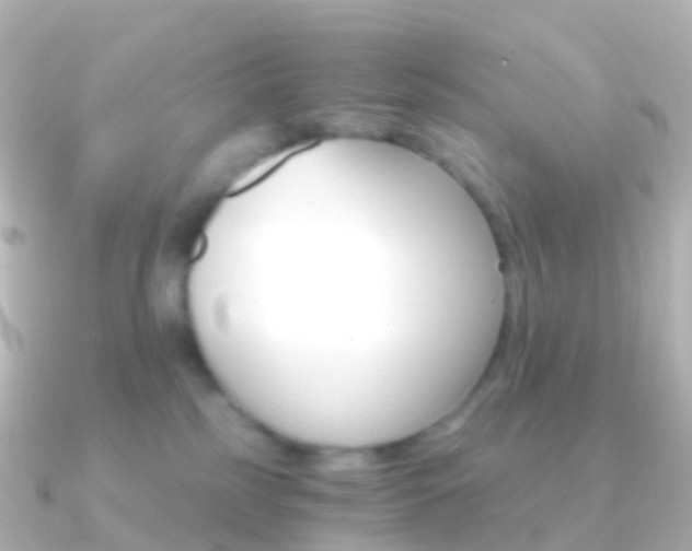 X0000091340185200708101026