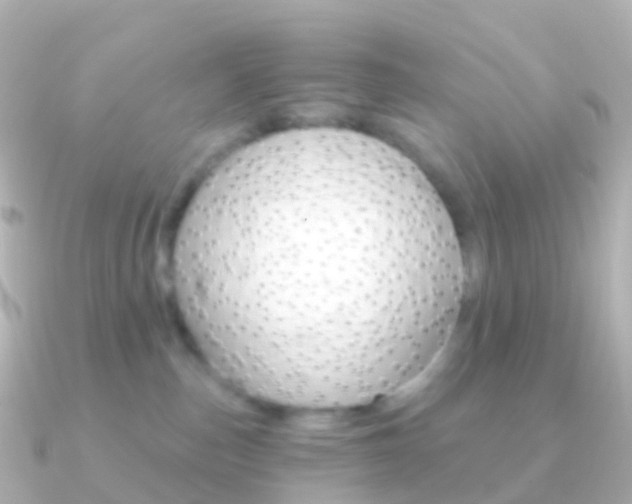 X0000091340187200708101026