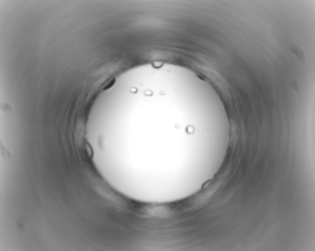 X0000091340189200708101026