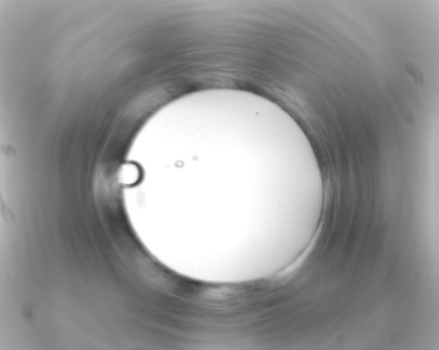 X0000091340190200708101026