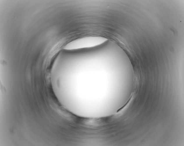 X0000091340191200708101026