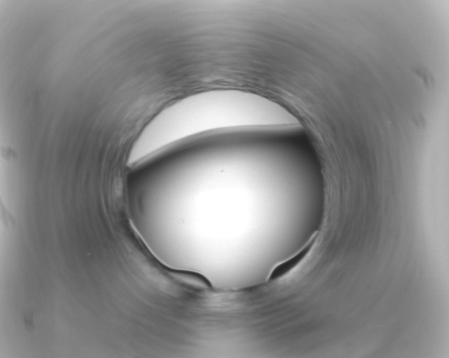 X0000091340192200708101026