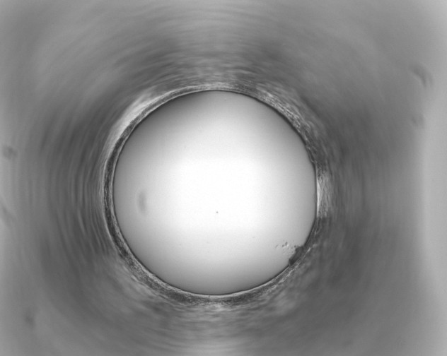 X0000091340195200708101025