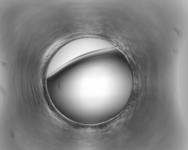 X0000091340197200708101025