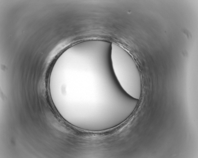 X0000091340198200708101025