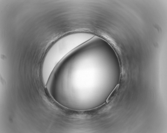 X0000091340201200708101025