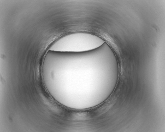 X0000091340202200708101025