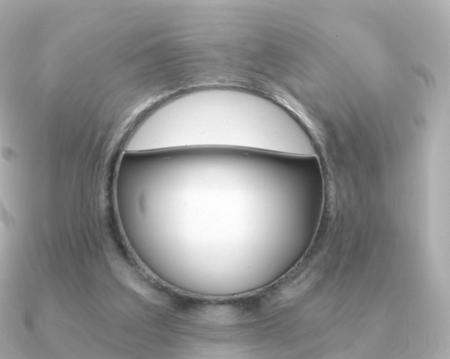 X0000091340203200708101025