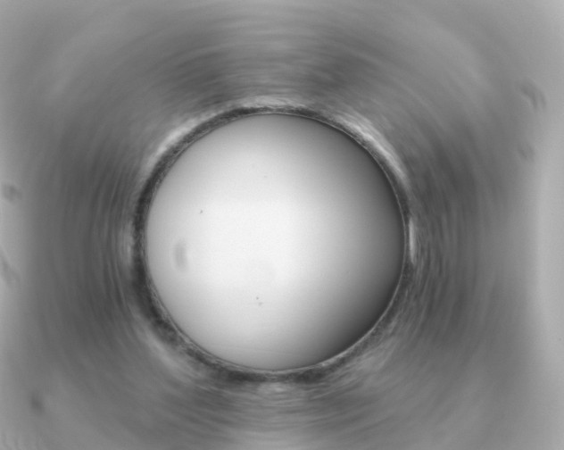 X0000091340204200708101025