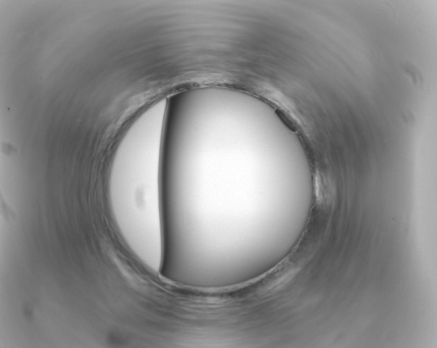 X0000091340205200708101025