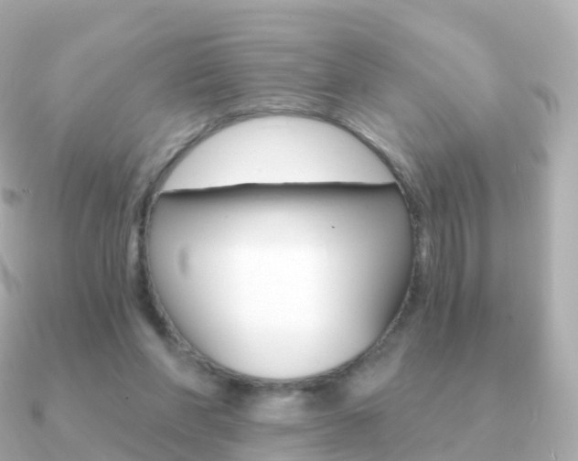 X0000091340206200708101025