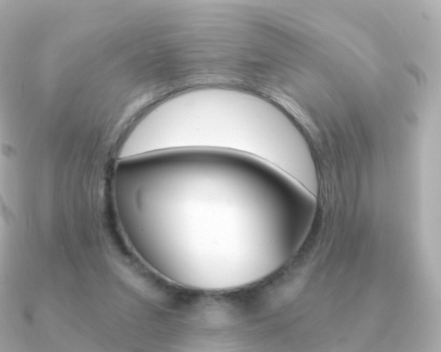 X0000091340207200708101025