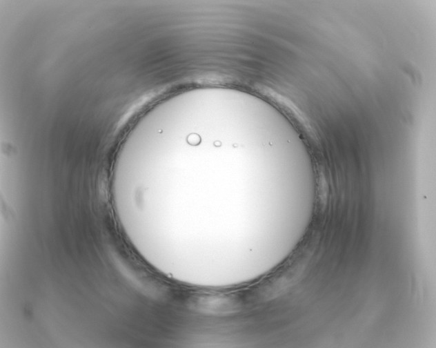 X0000091340208200708101025