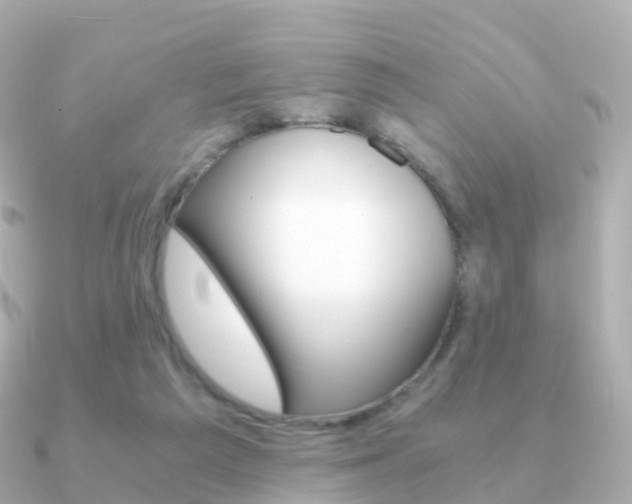 X0000091340209200708101025