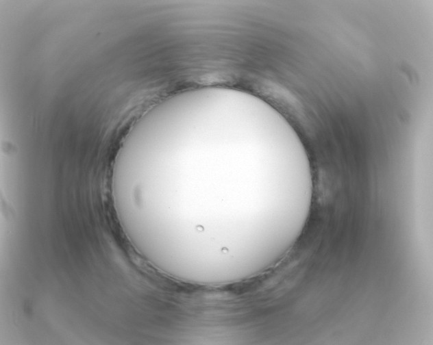 X0000091340210200708101025