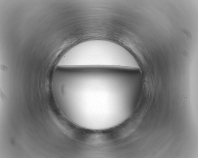 X0000091340212200708101025
