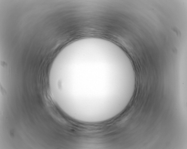 X0000091340215200708101025
