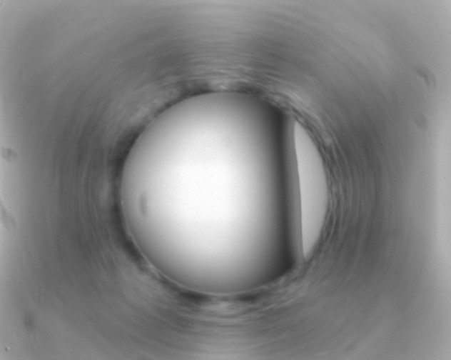 X0000091340221200708101025