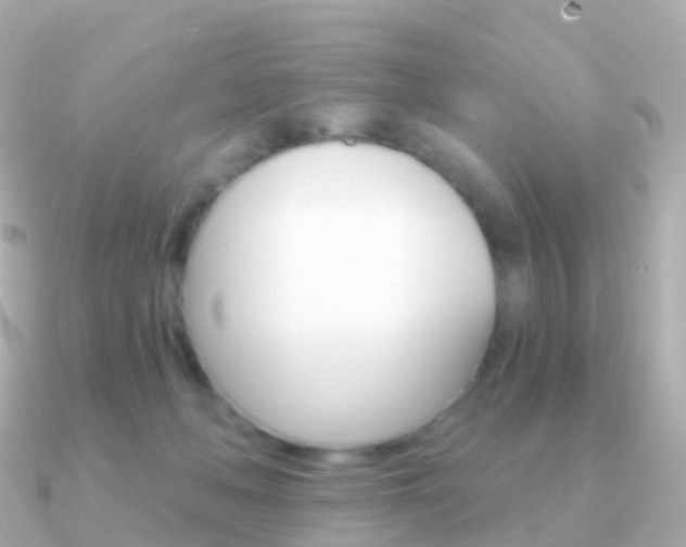 X0000091340222200708101025