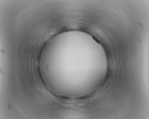 X0000091340223200708101025