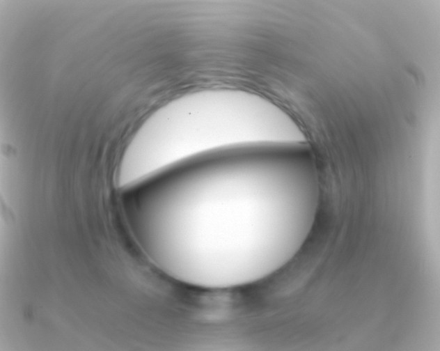 X0000091340225200708101025