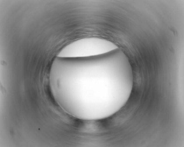 X0000091340226200708101025