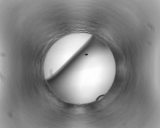 X0000091340228200708101025