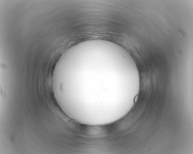 X0000091340230200708101025