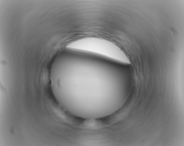 X0000091340231200708101025