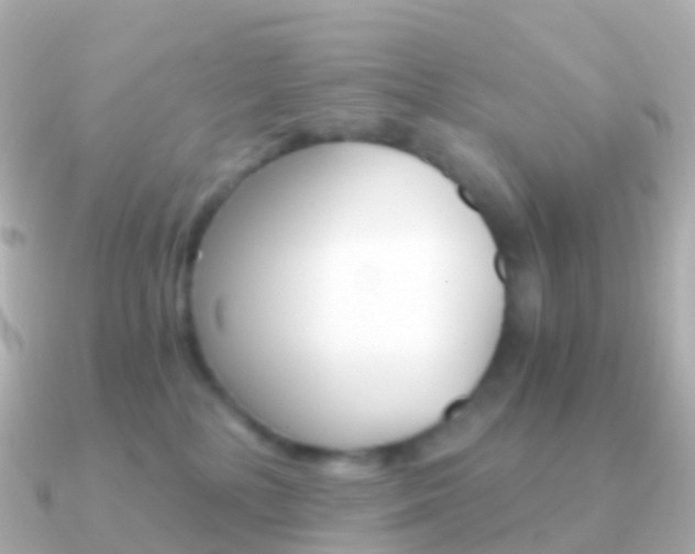 X0000091340232200708101025