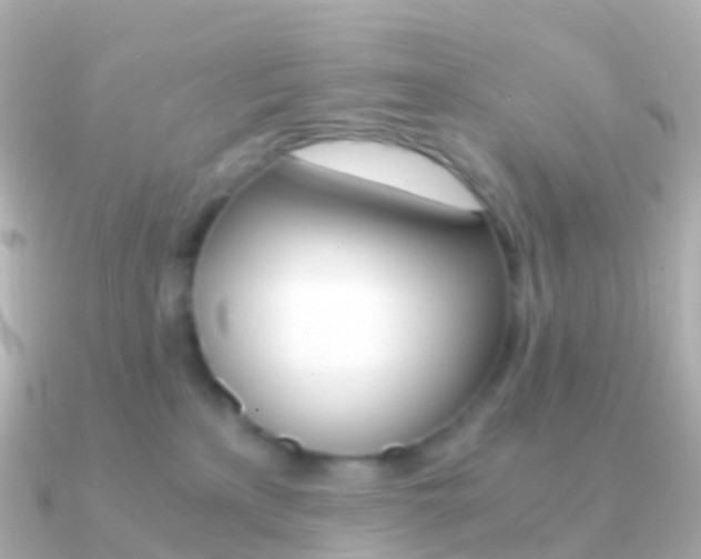 X0000091340233200708101025