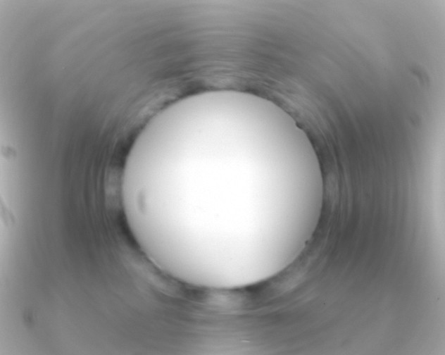 X0000091340234200708101025