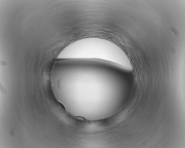 X0000091340235200708101025
