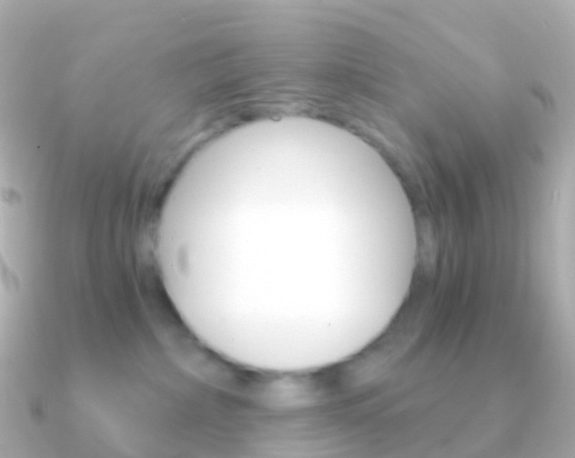 X0000091340236200708101025