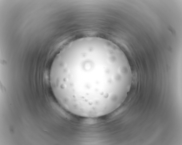 X0000091340238200708101025