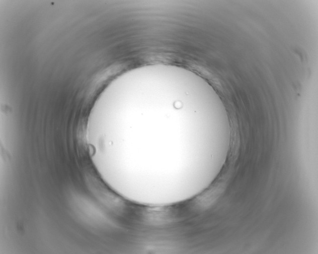 X0000091340240200708101025