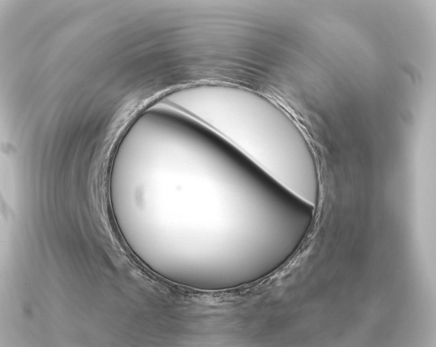 X0000091340241200708101024