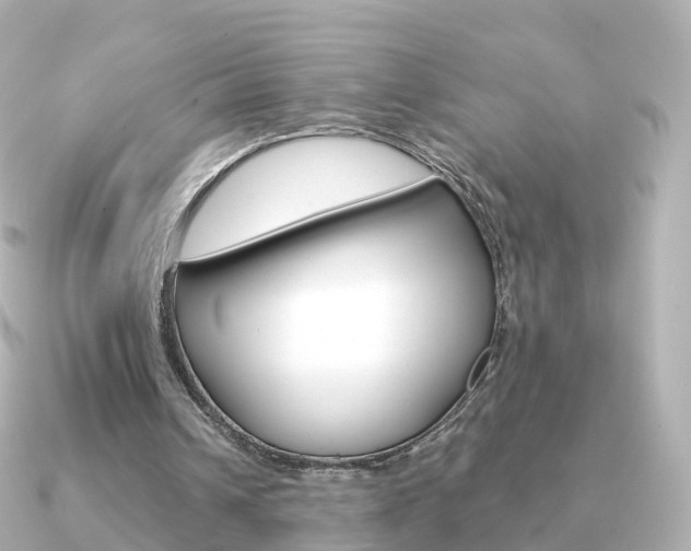 X0000091340242200708101024