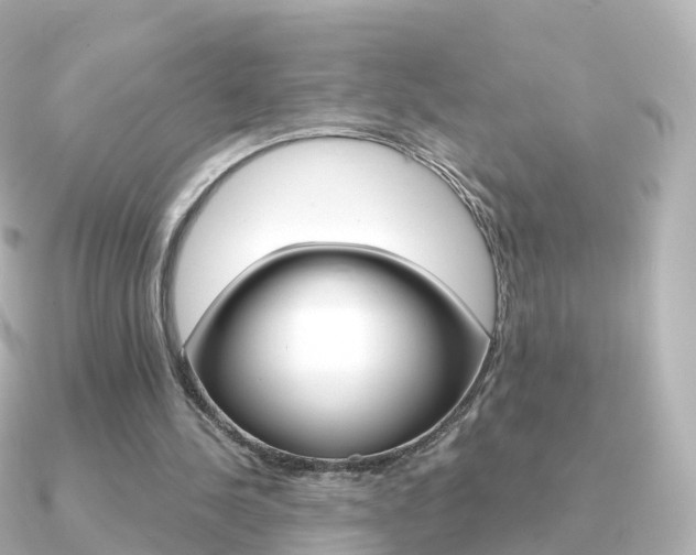 X0000091340244200708101024