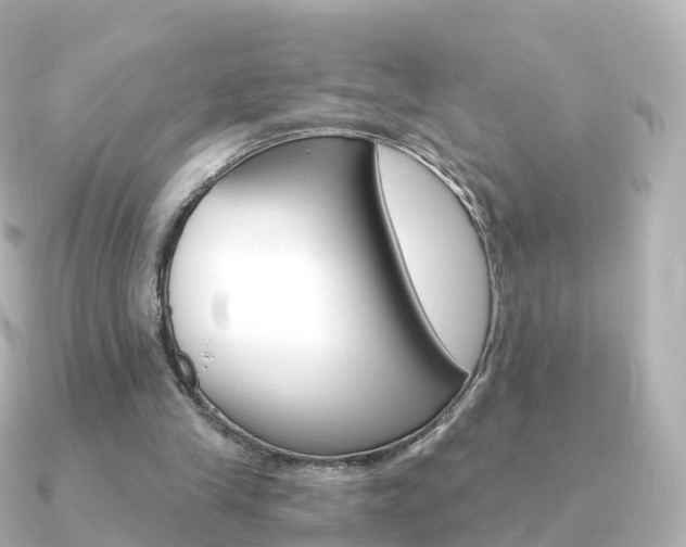 X0000091340245200708101024