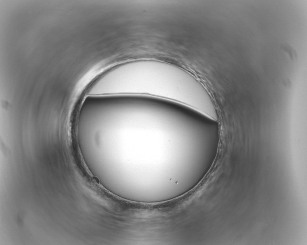 X0000091340246200708101024