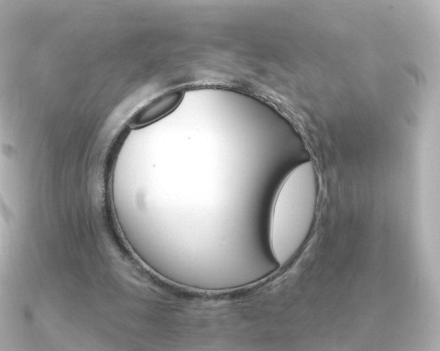 X0000091340247200708101024